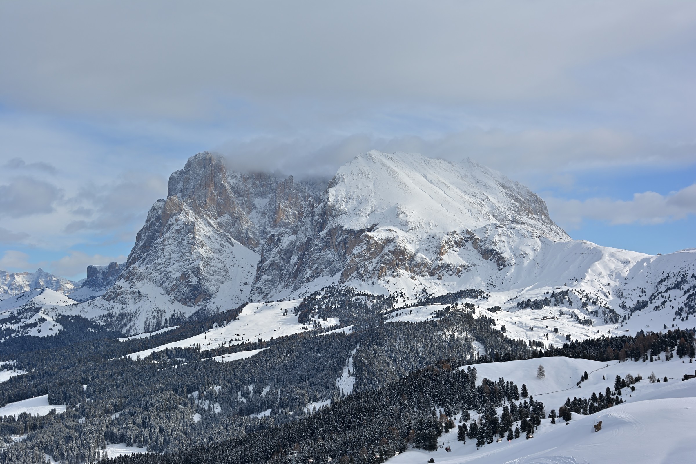 DSC_7609.jpg