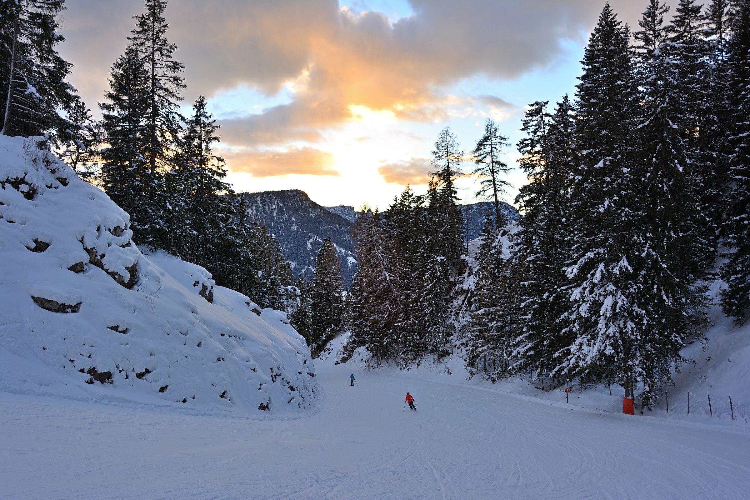 DSC_7635.jpg