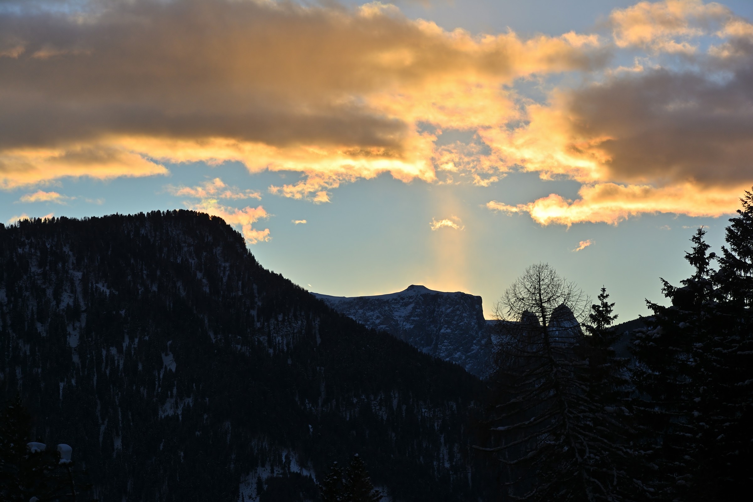 DSC_7637.jpg
