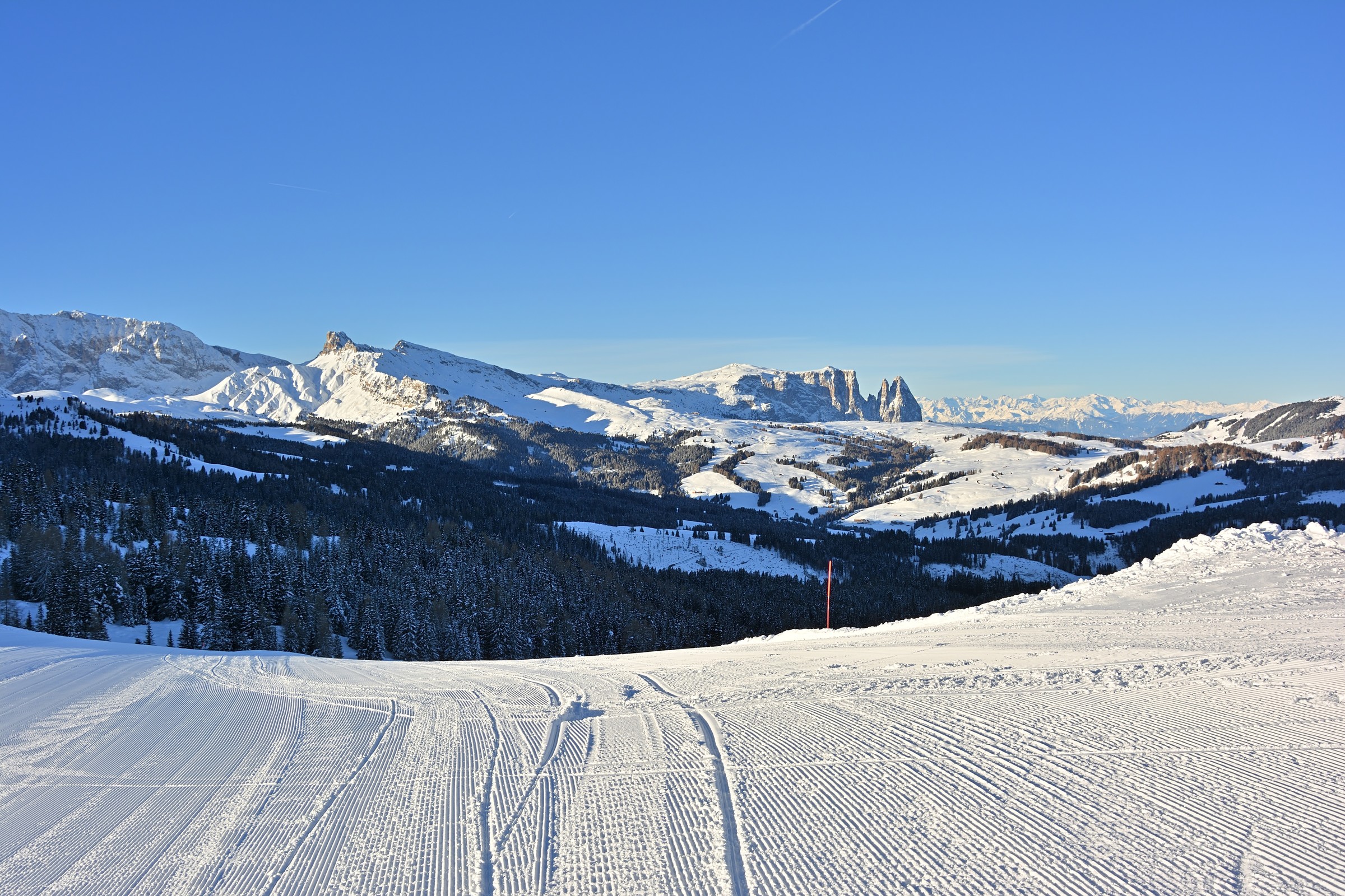 DSC_7645.jpg