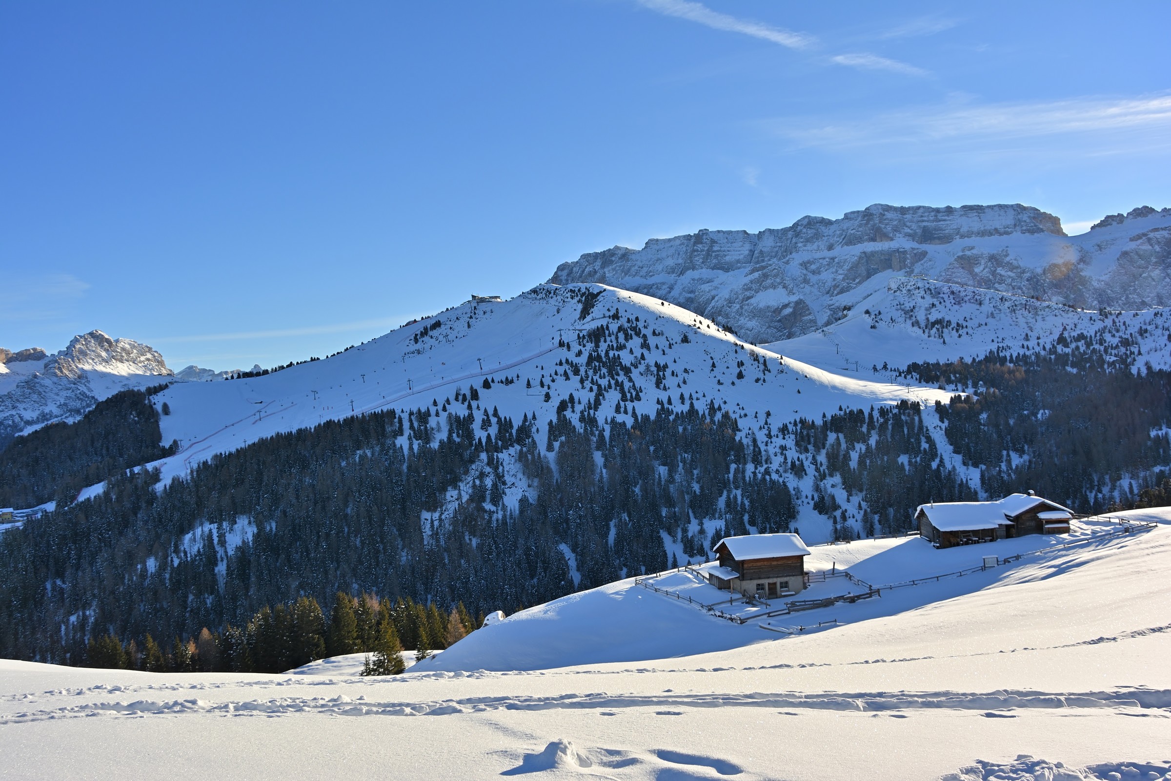 DSC_7647.jpg
