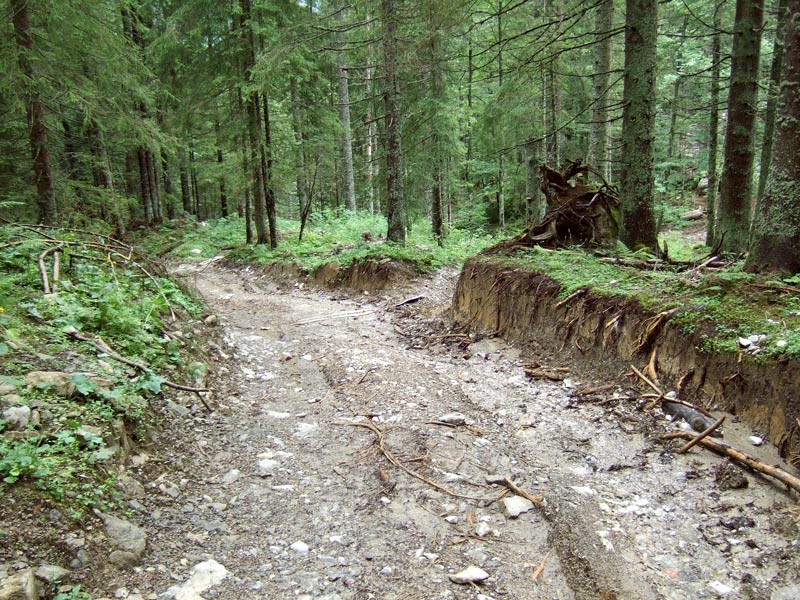 DSCF4871.jpg