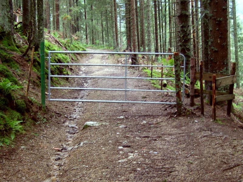 DSCF4872.jpg
