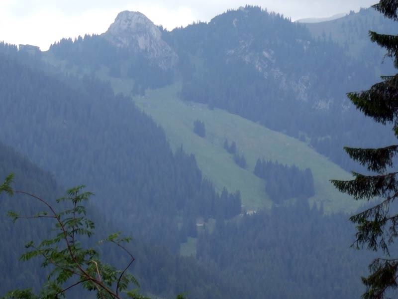 DSCF4881.jpg