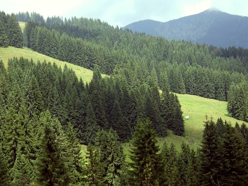 DSCF4886.jpg