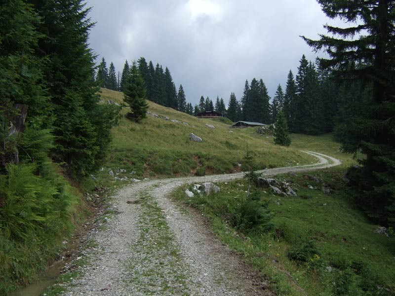DSCF4915.jpg