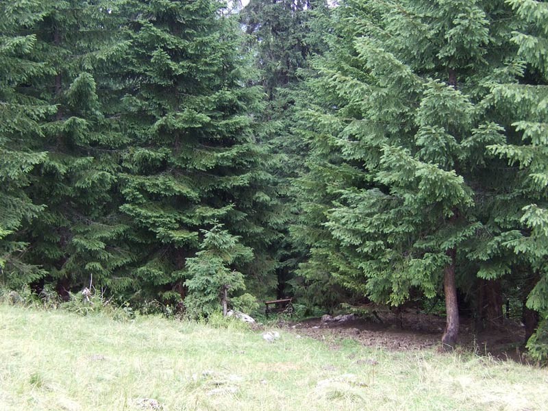 DSCF4923.jpg