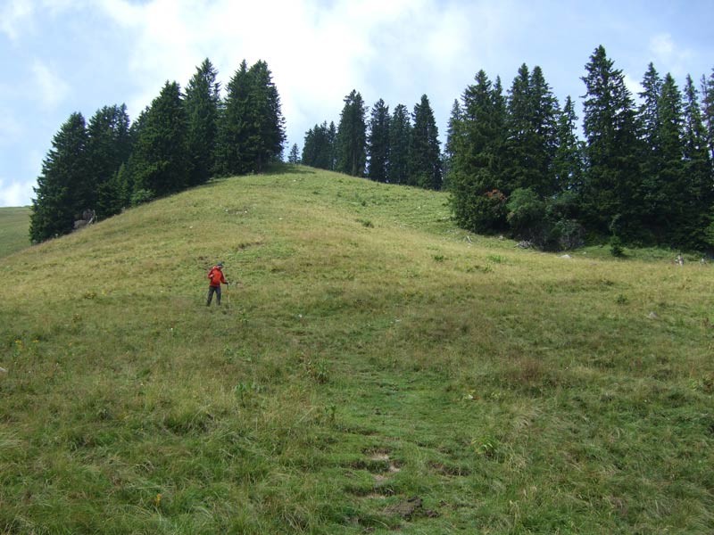 DSCF4925.jpg