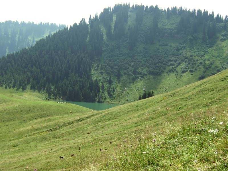 DSCF4927.jpg