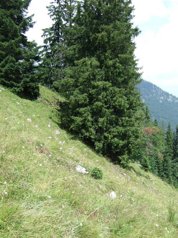 DSCF4930.jpg