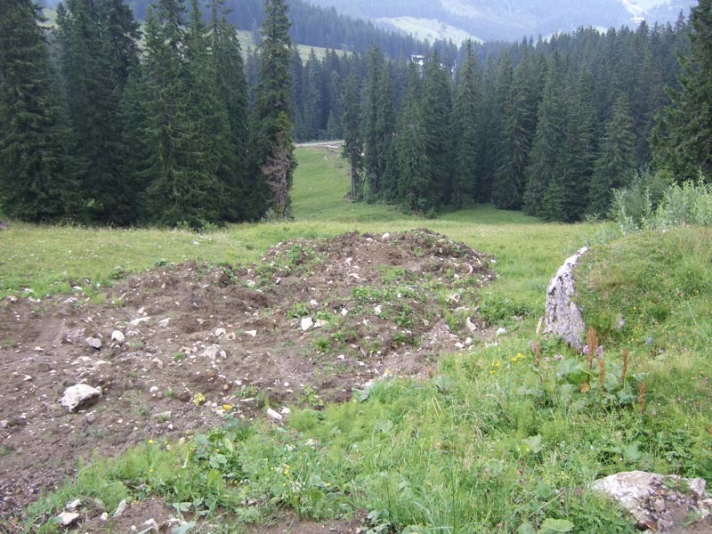 DSCF4950.jpg