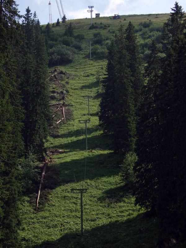 DSCF4972.jpg