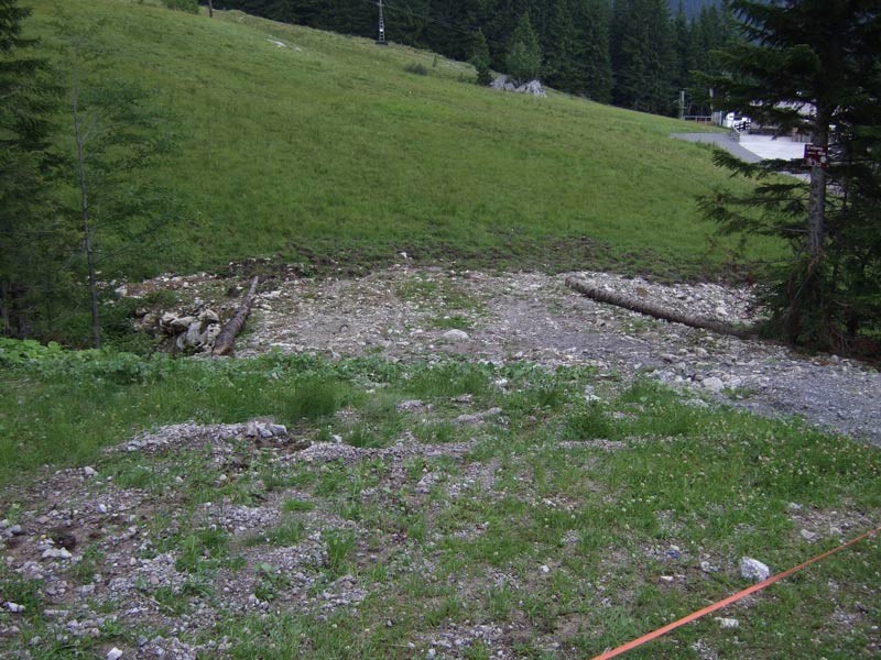 DSCF4988.jpg