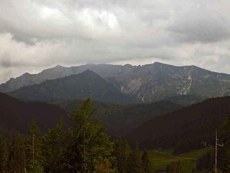 DSCF5010.jpg