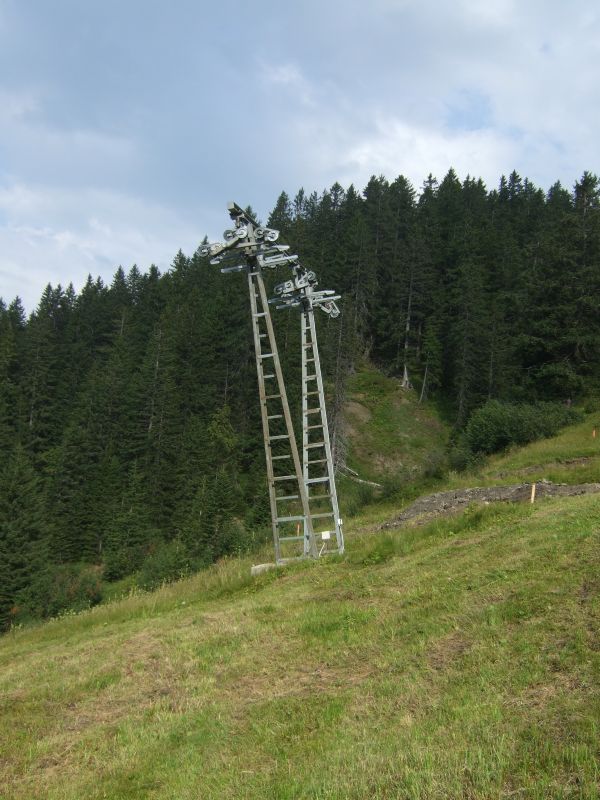 DSCF5246.JPG
