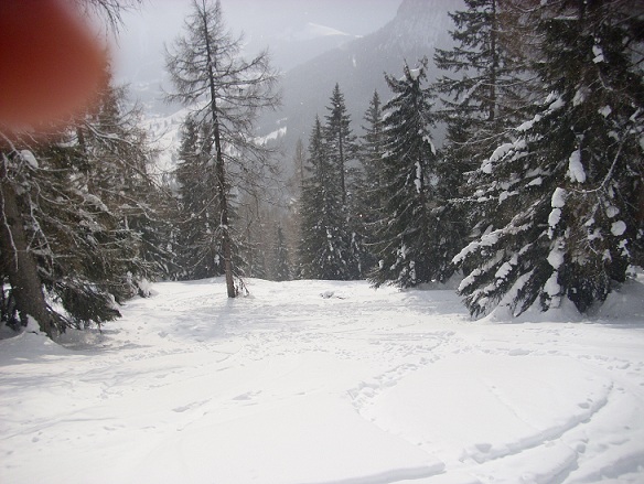 DSCI0028.JPG