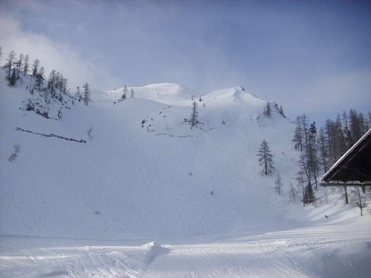 DSCI0050.JPG