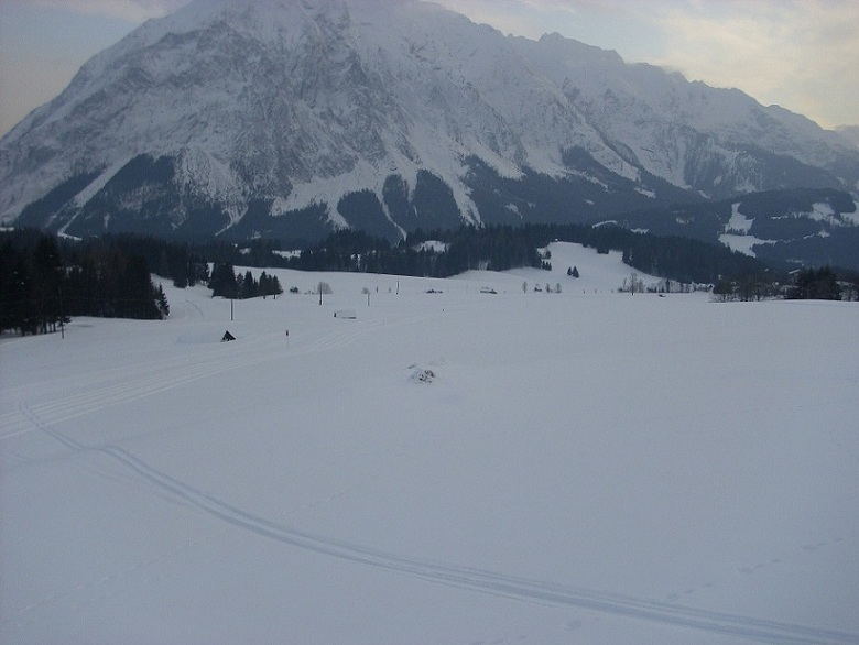 DSCI0077.JPG
