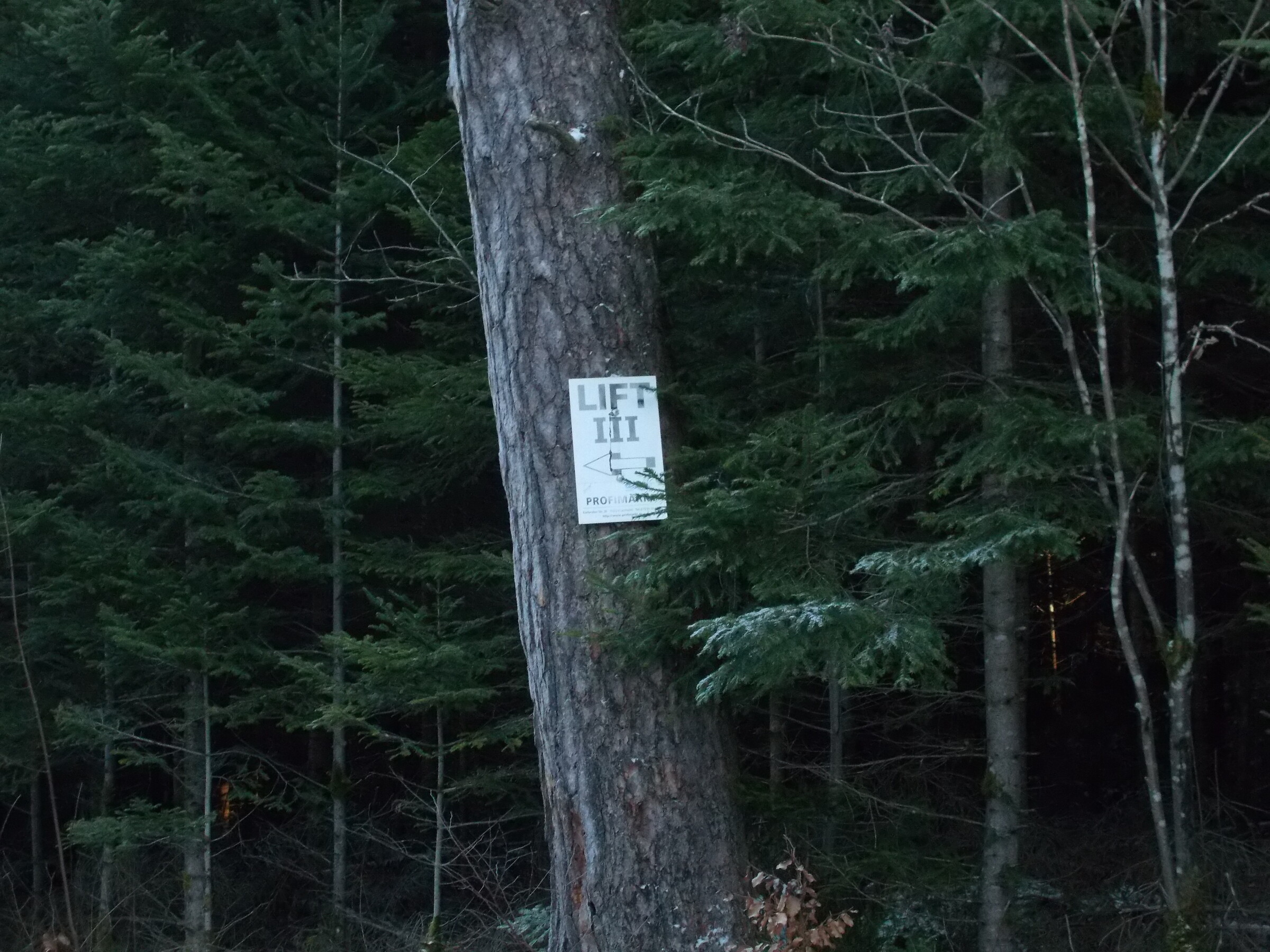 DSCN0509.JPG