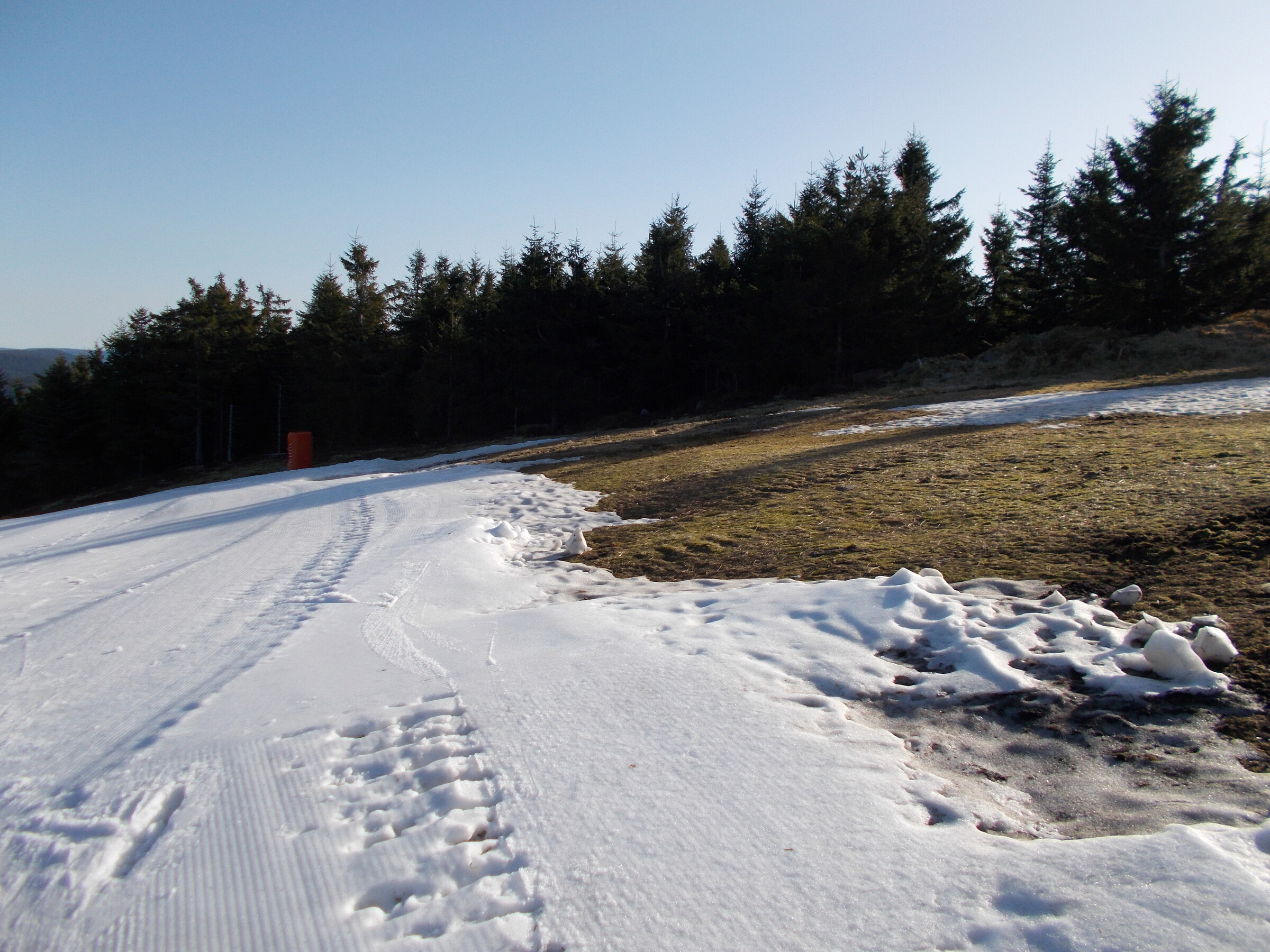 DSCN0534.JPG