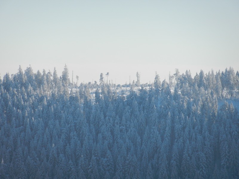 DSCN1257_030.JPG