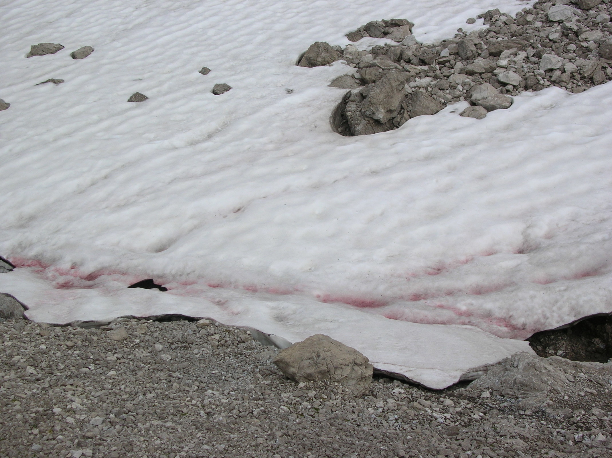 DSCN3496.JPG