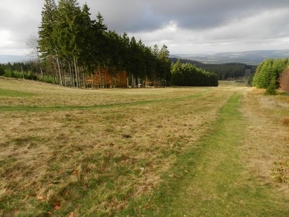 DSCN3807.jpg