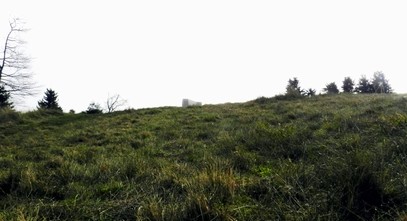 DSCN3812.jpg