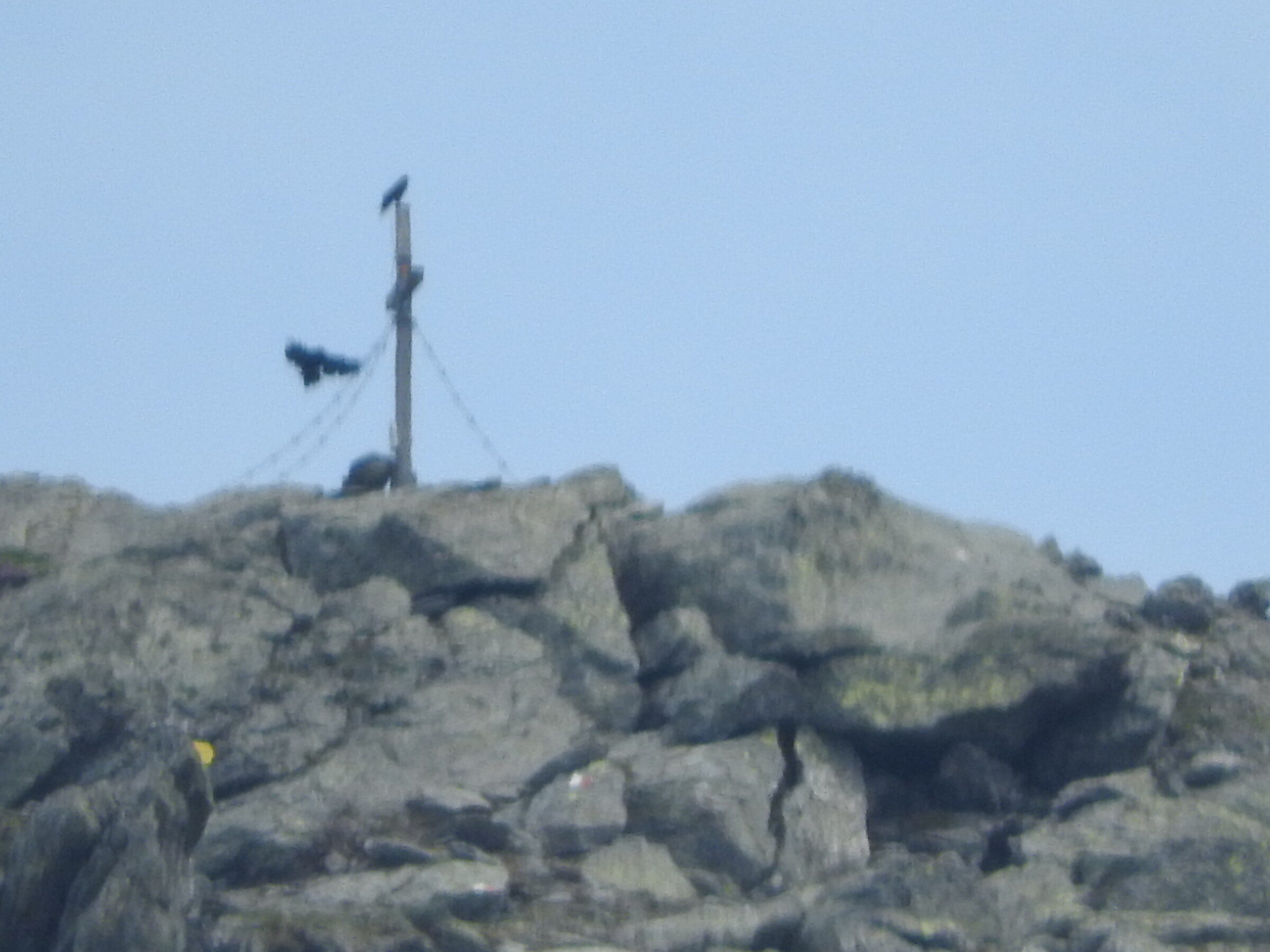 DSCN4045.JPG