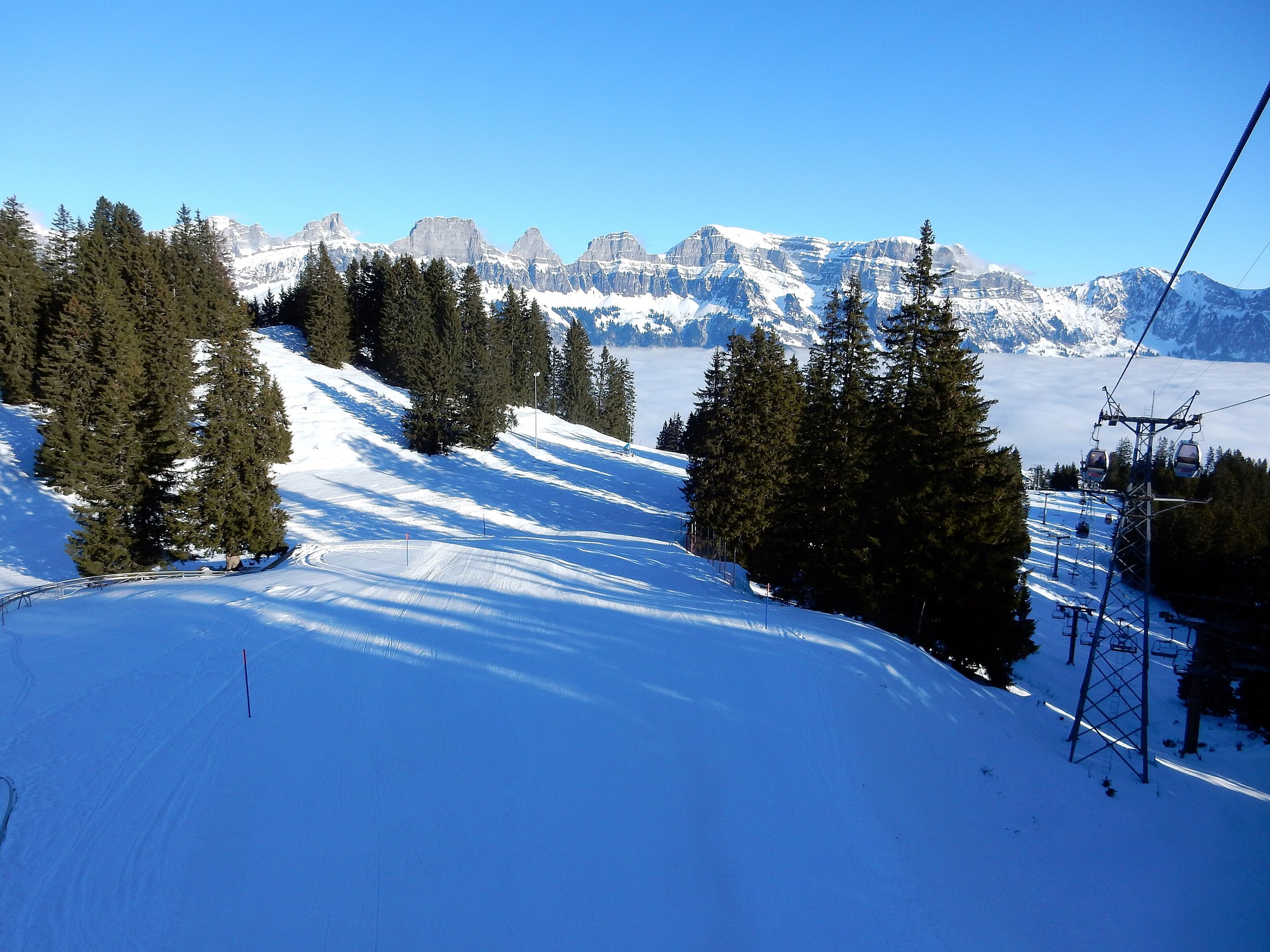DSCN6145.jpg