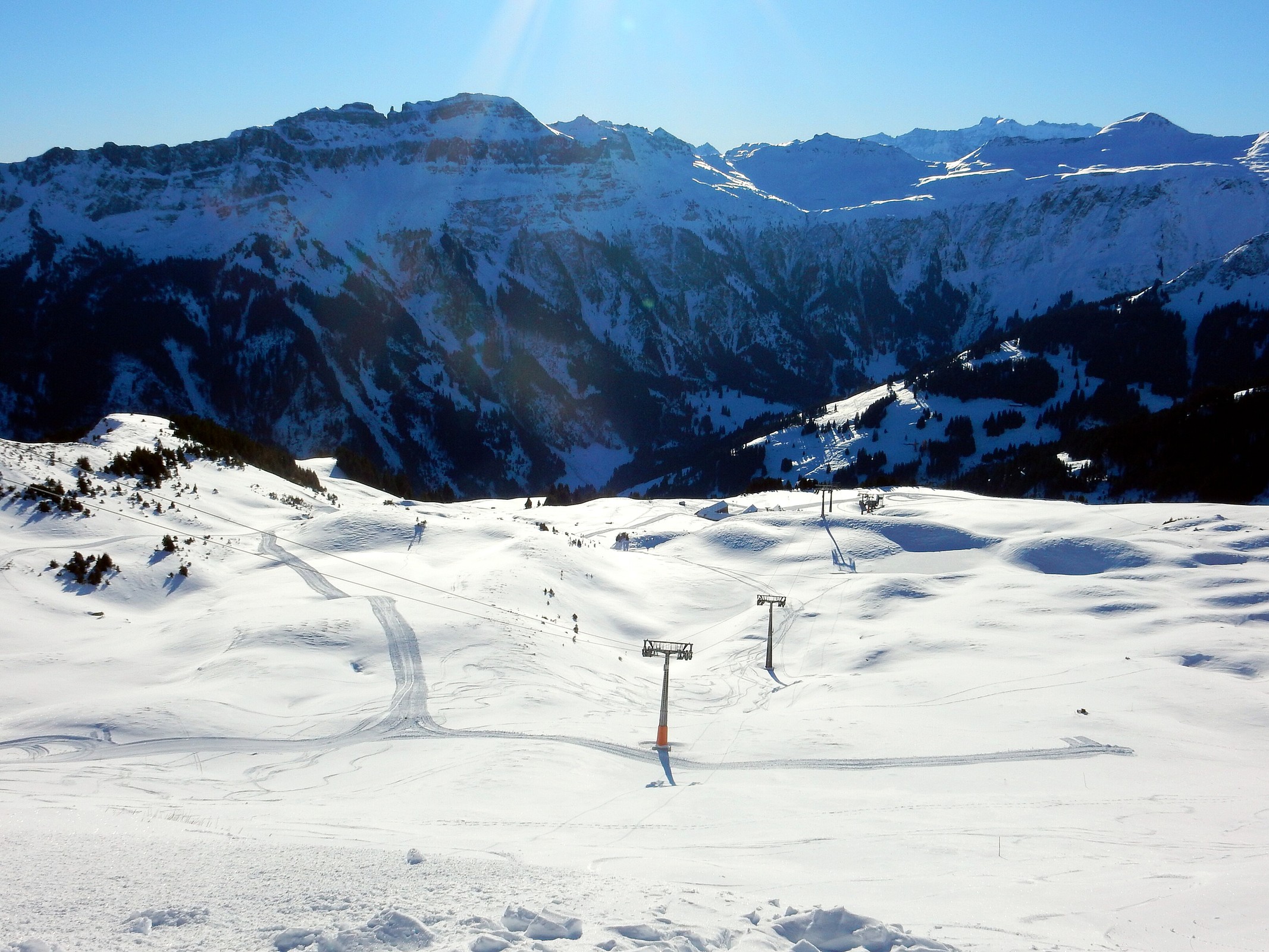 DSCN6157.jpg