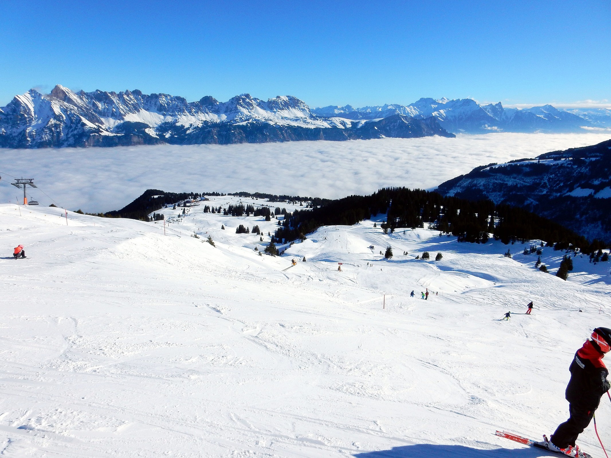 DSCN6162.jpg
