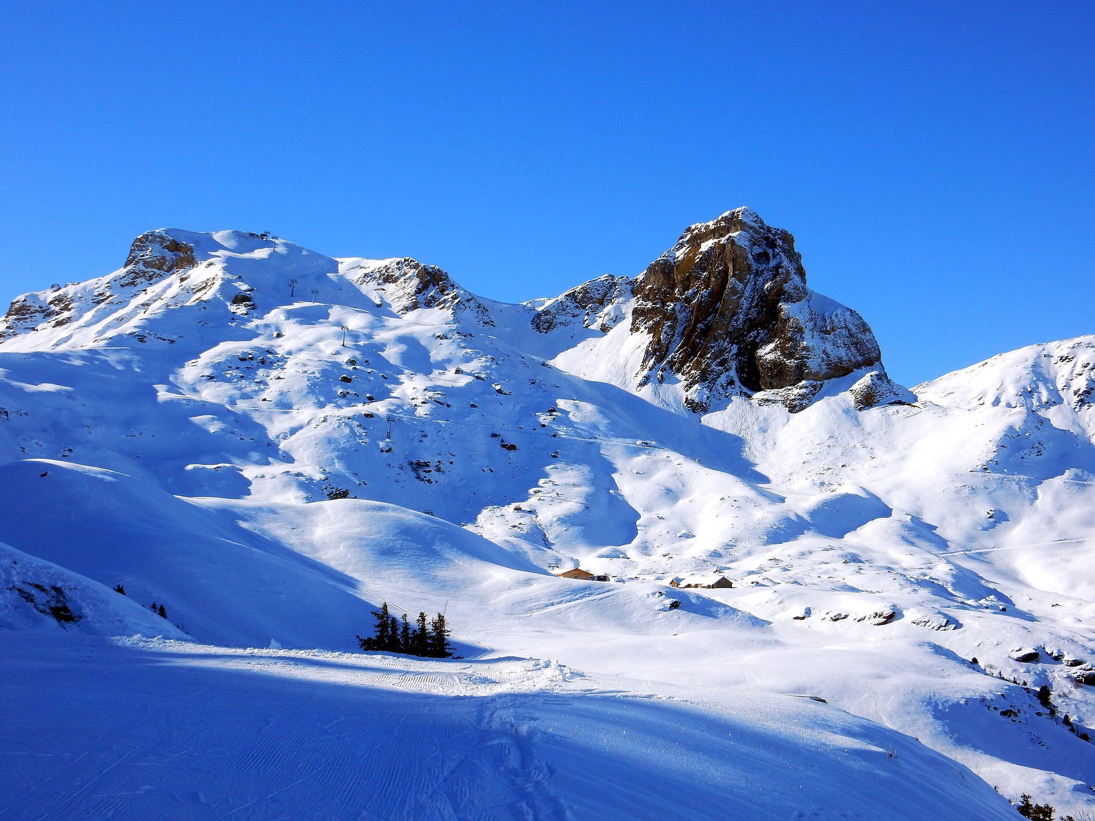 DSCN6181.jpg