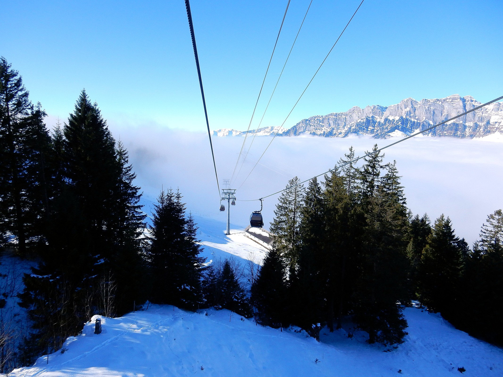 DSCN6190.jpg