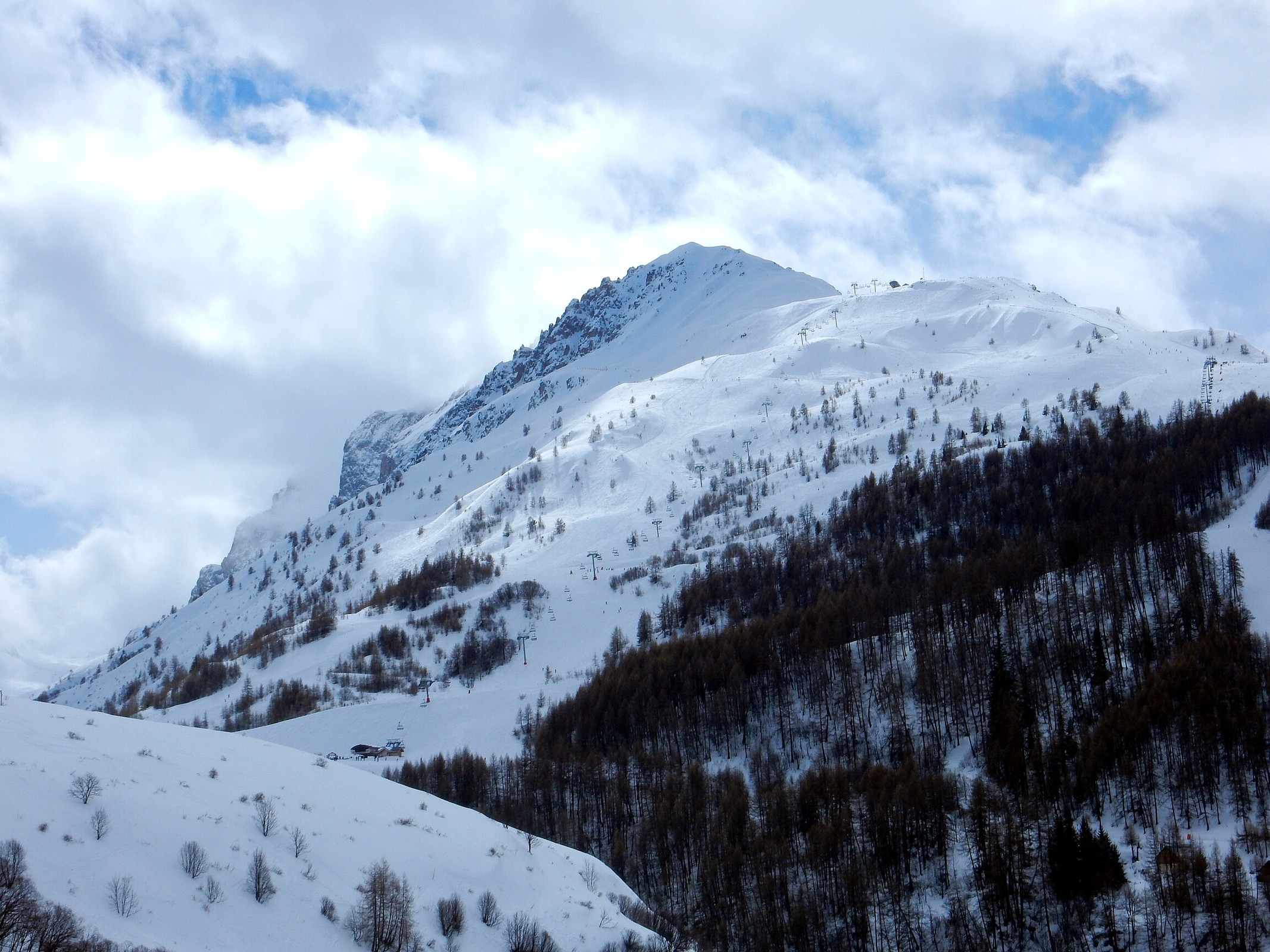 DSCN6605.jpg