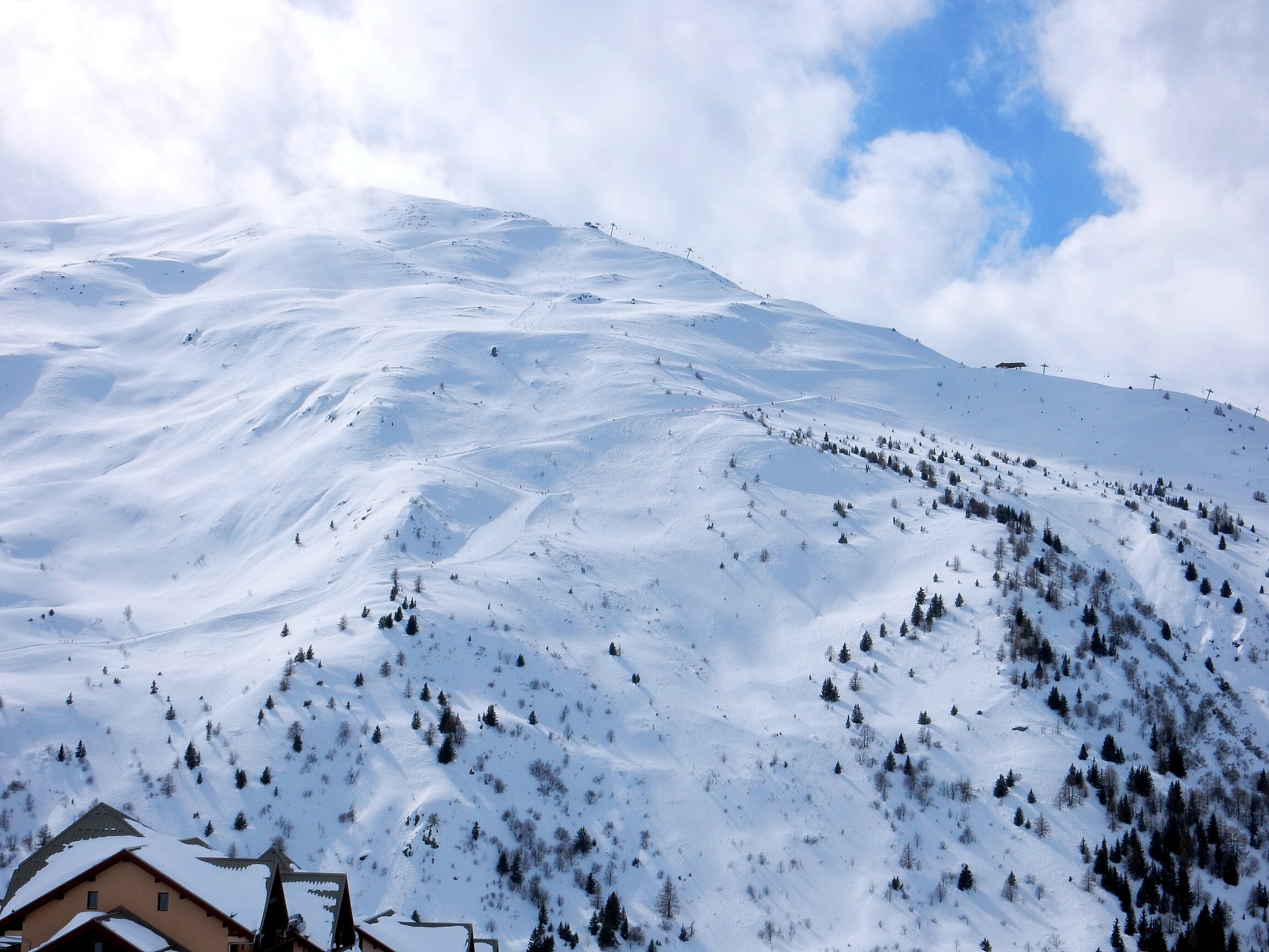 DSCN6613.jpg