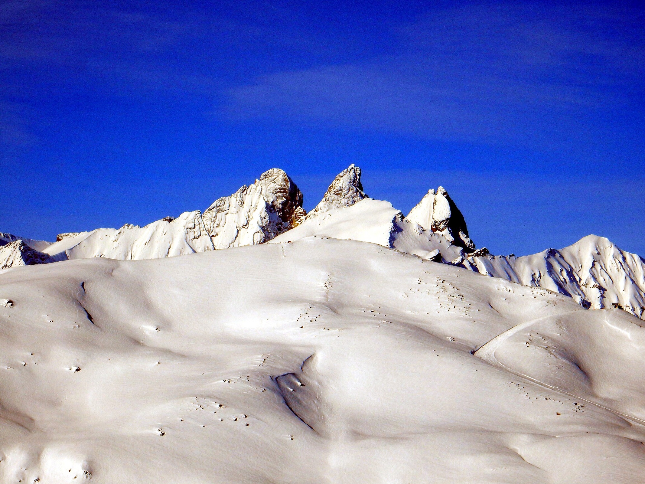 DSCN6651.jpg