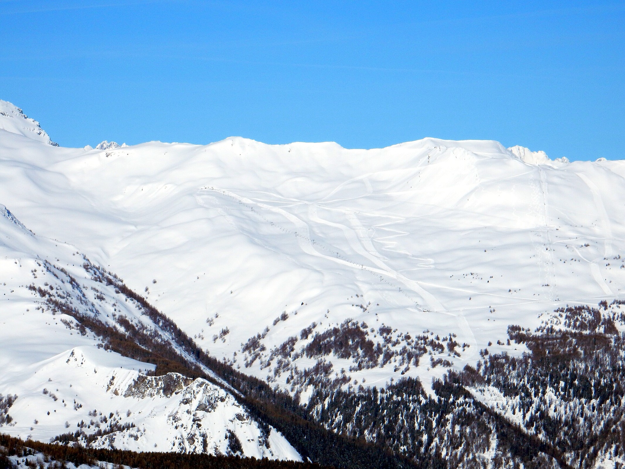 DSCN6653.jpg