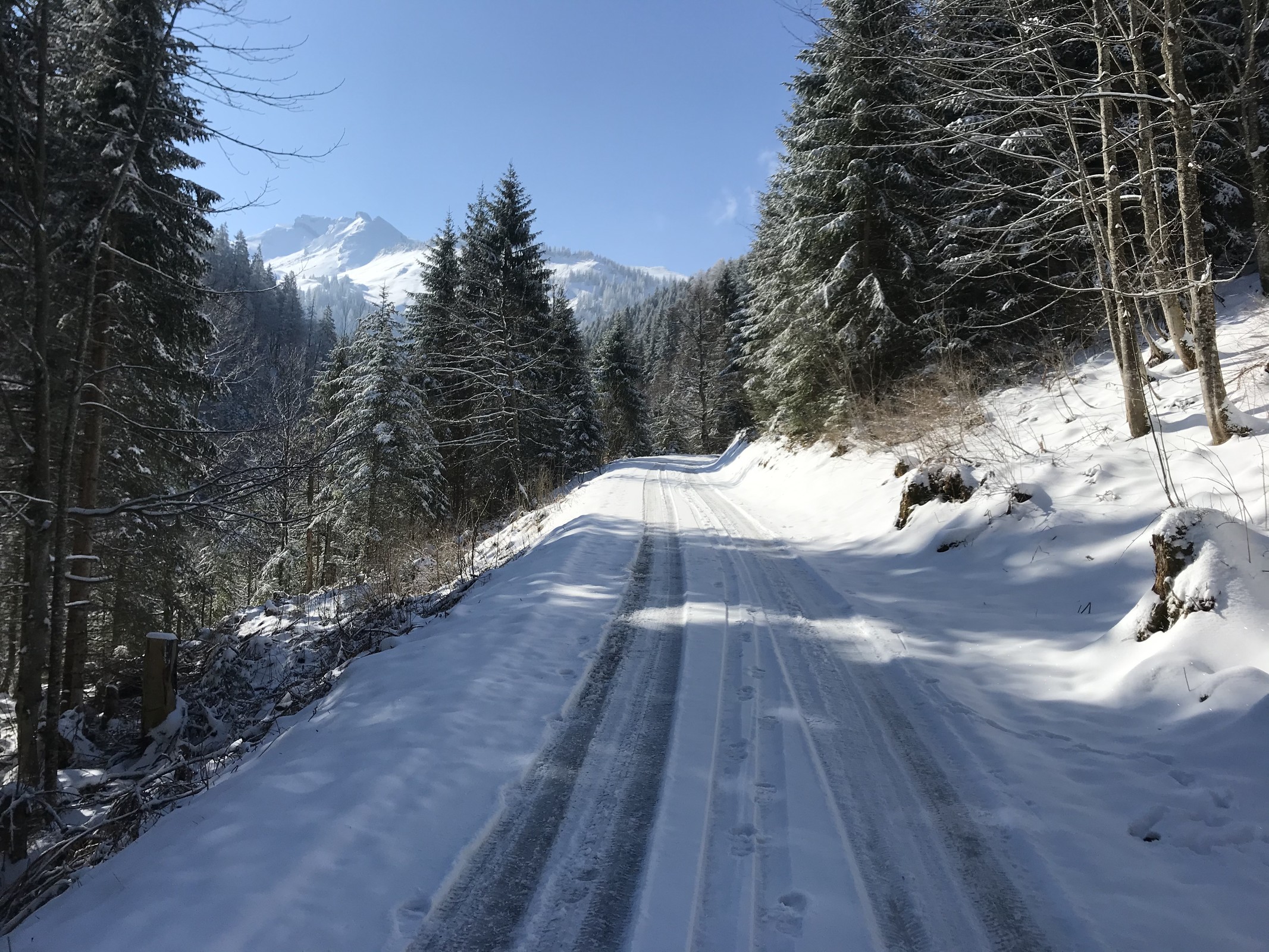 E24B104C-550B-48D8-A0F8-D6DE6726D3F0.jpeg