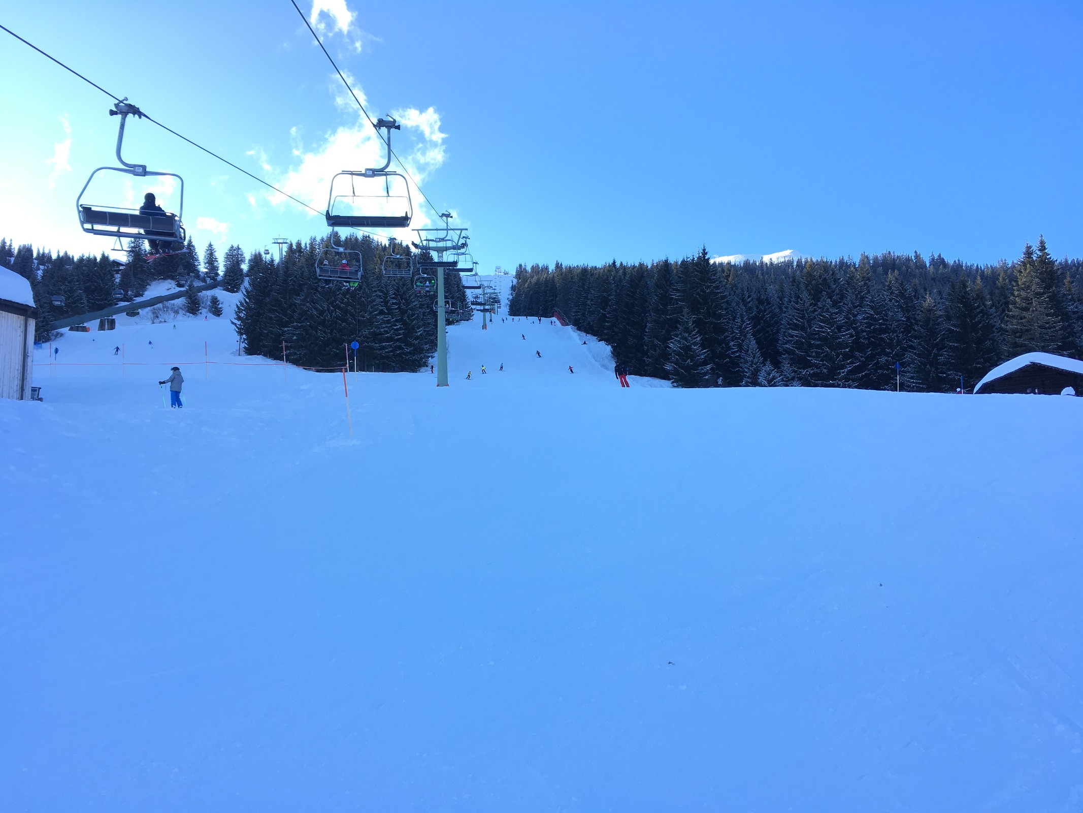 E3A25982-23D5-4E99-B487-B06D991756E9.jpeg