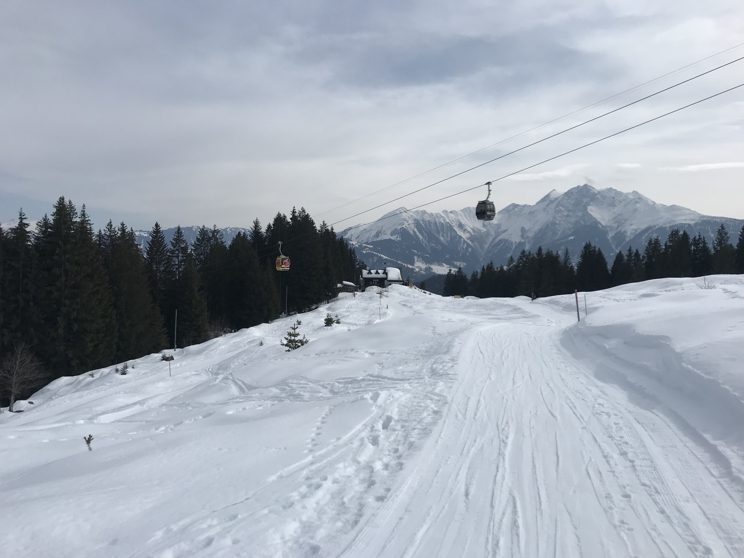 E5465176-779C-411E-A1E1-697E3AF7E454.jpeg