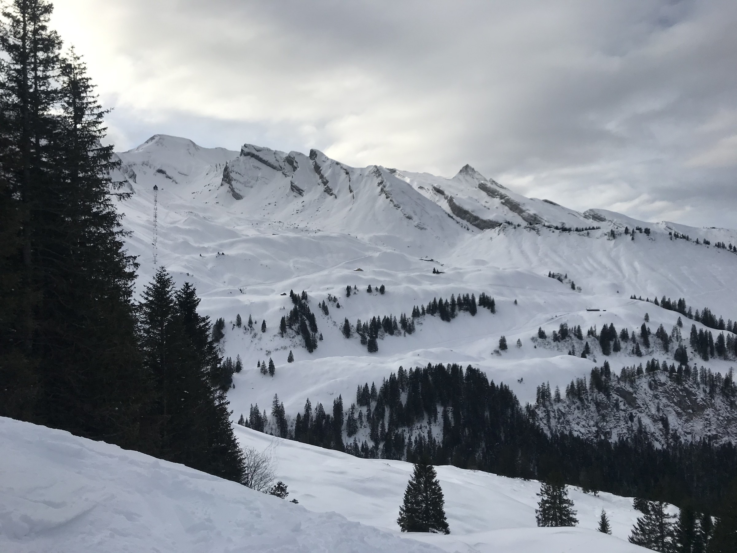 E583C6C8-324A-4805-82B7-18904A6D5E2F.jpeg