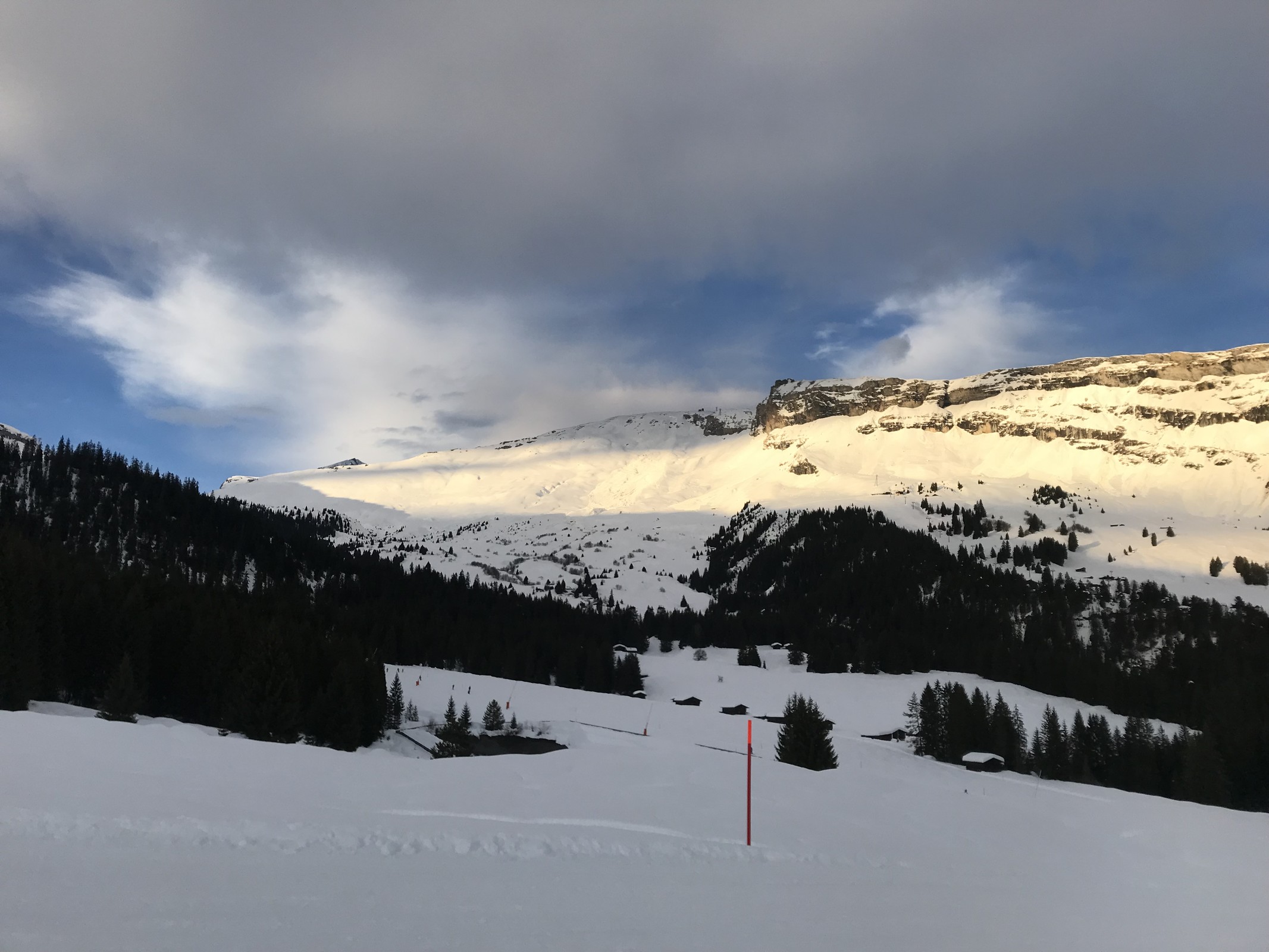 E5D86FBC-9871-45C6-A26D-2CEC72581692.jpeg