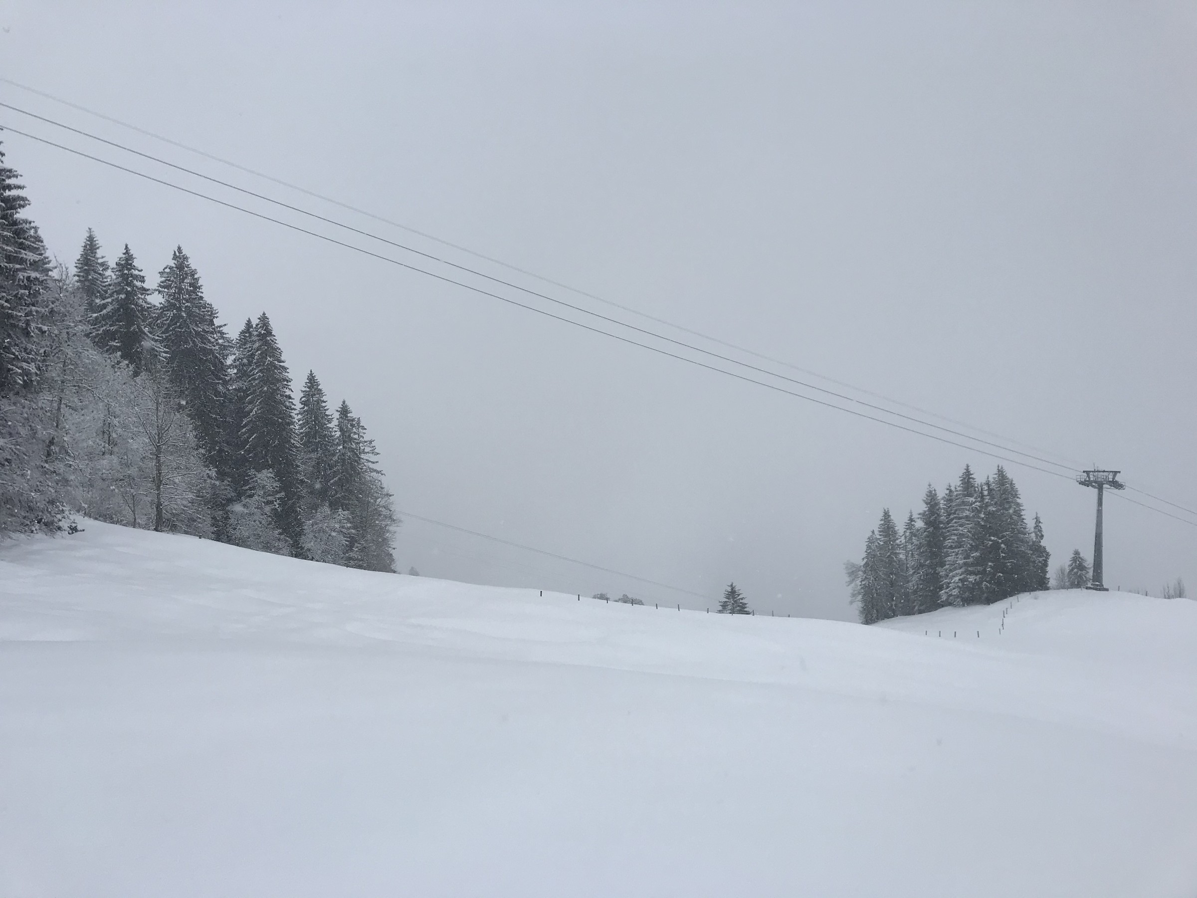 E6A10370-EEB6-49DC-8F9D-69F17A01C255.jpeg