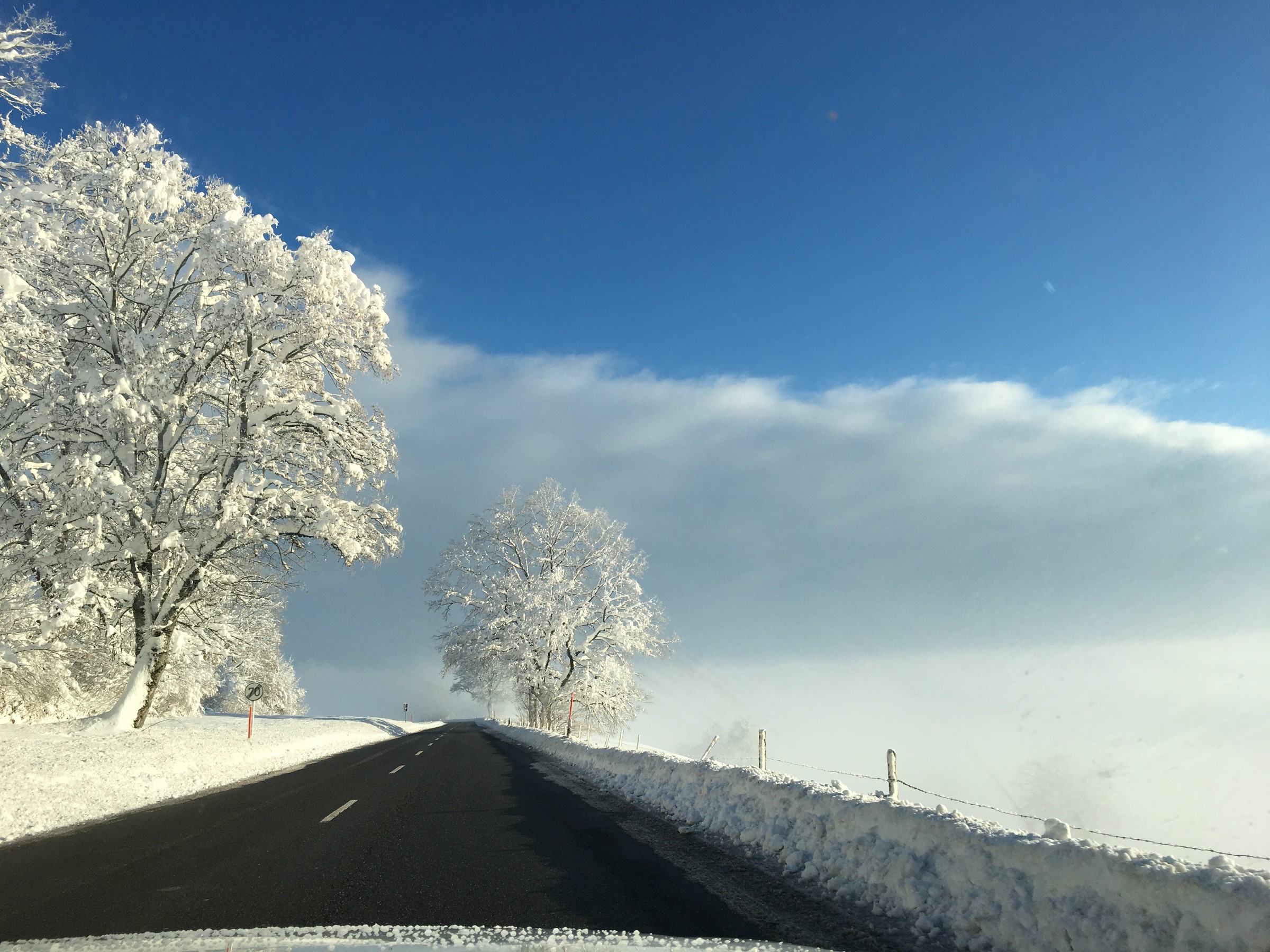 E763F59D-56F0-443C-B83B-F7B07A2C40FB.jpeg