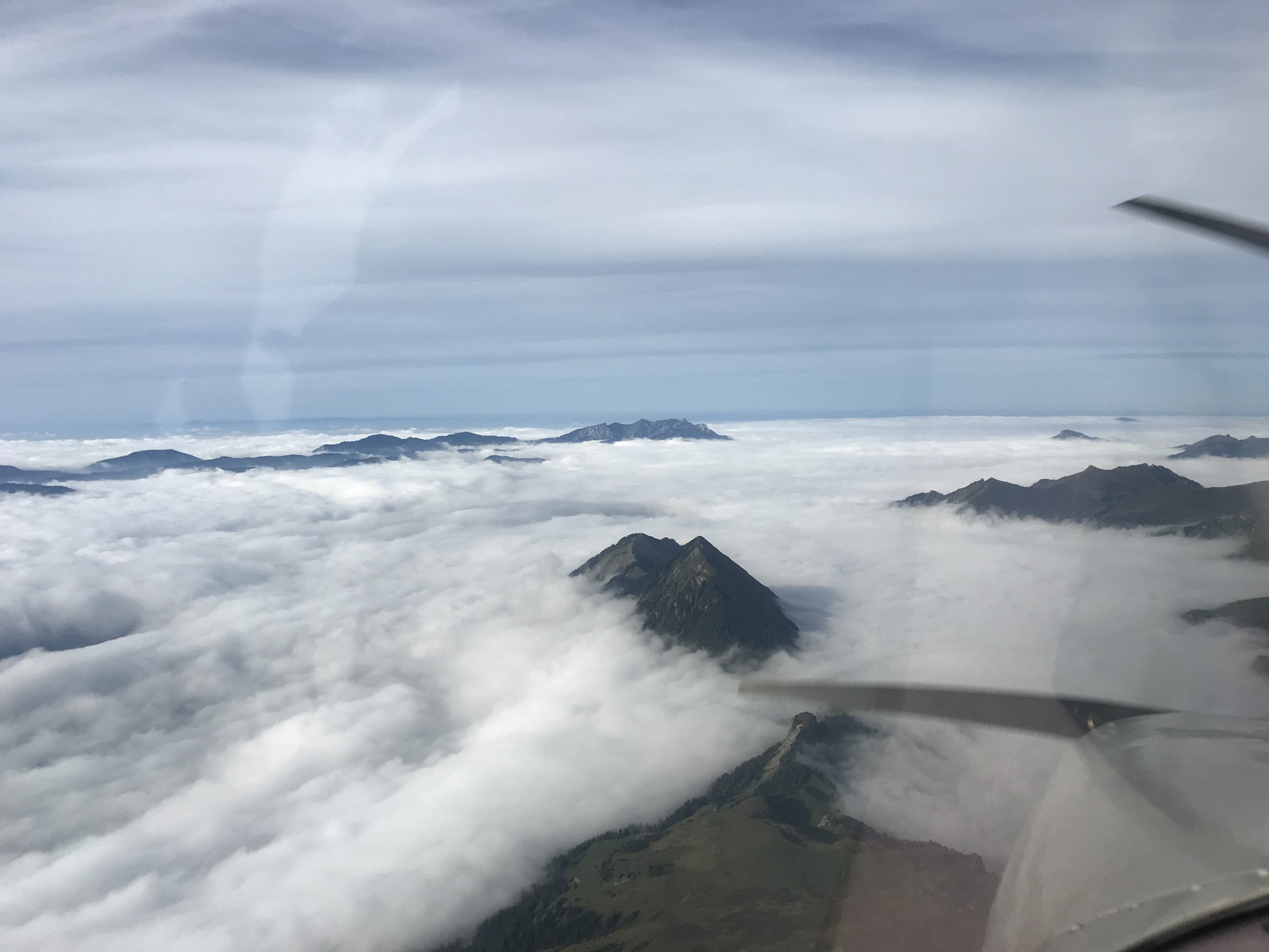 E8FC7147-04B8-4F9A-B44D-0DFD7334D705.jpeg
