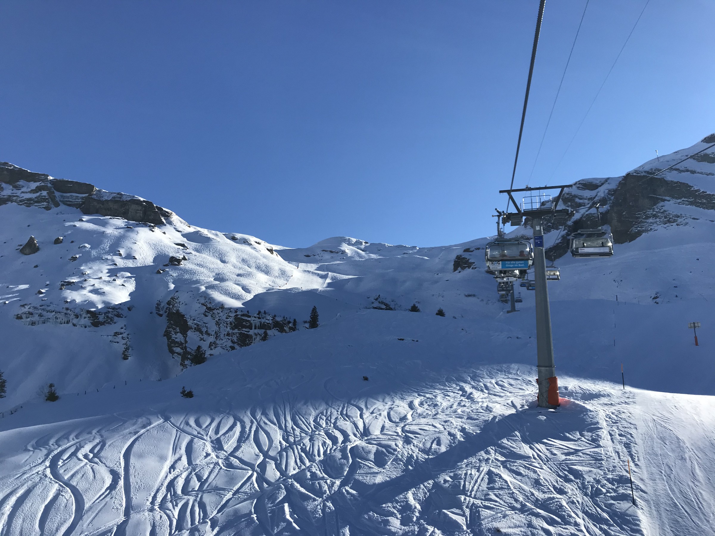EA50E023-1723-4A24-876A-92038C10BF24.jpeg