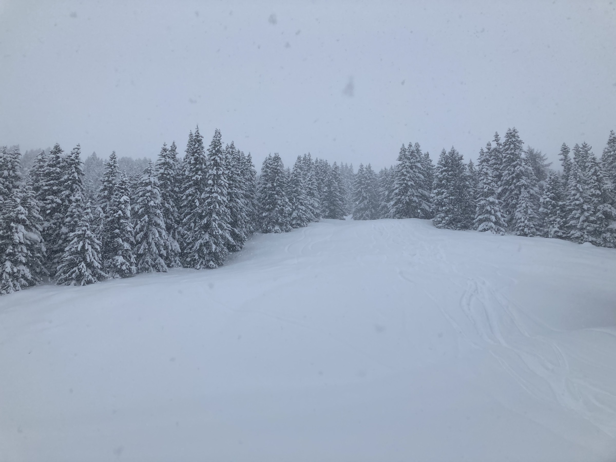 EAA193B9-AB8A-4E1A-965C-7943F86431D5.jpeg