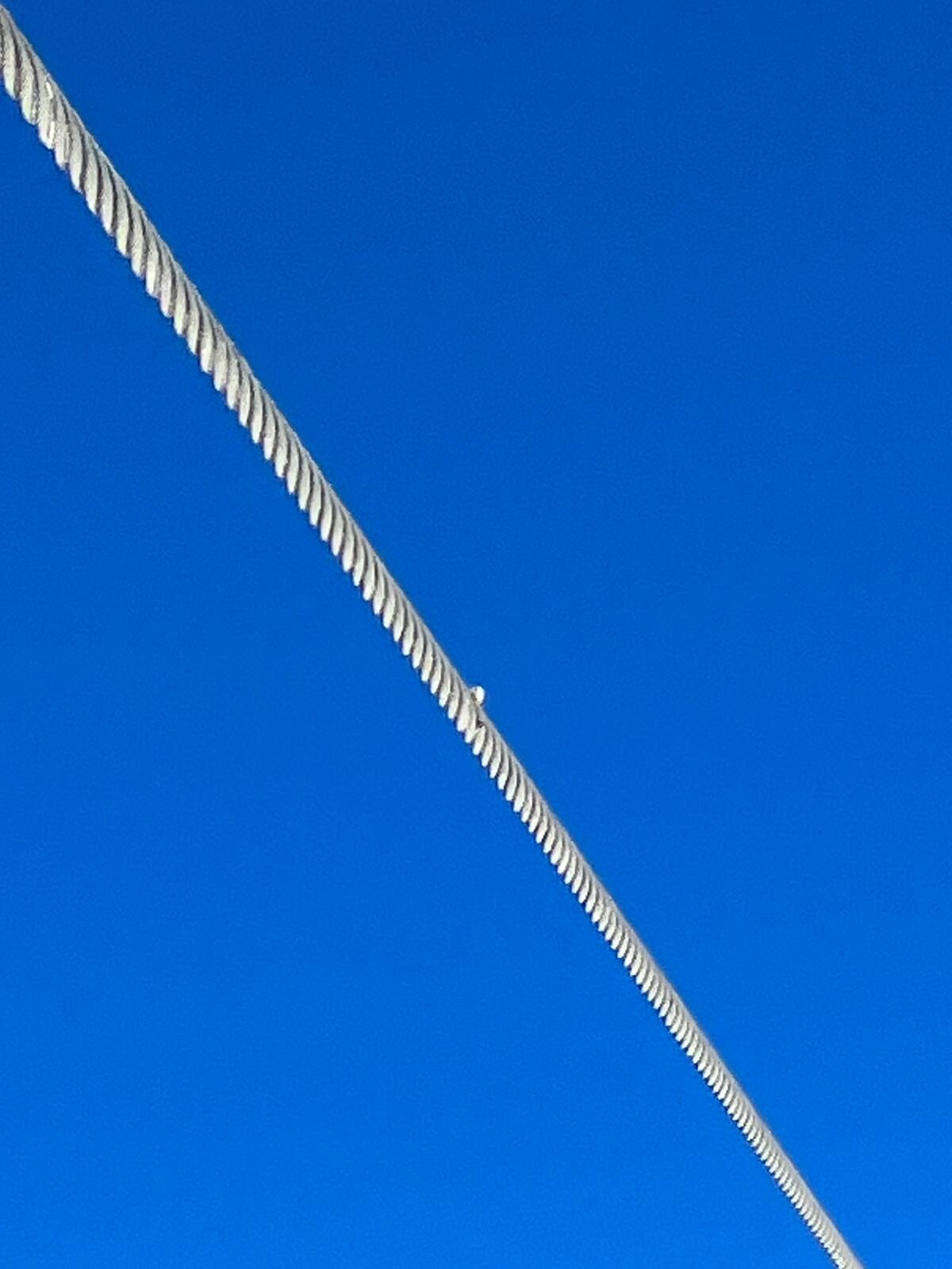 ee438e4b-5317-44eb-8b3e-72879c01150e.jpeg