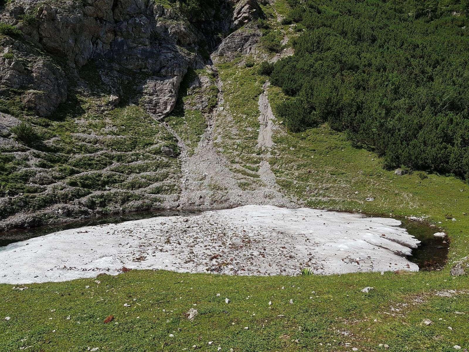 Ehrwald18.jpg